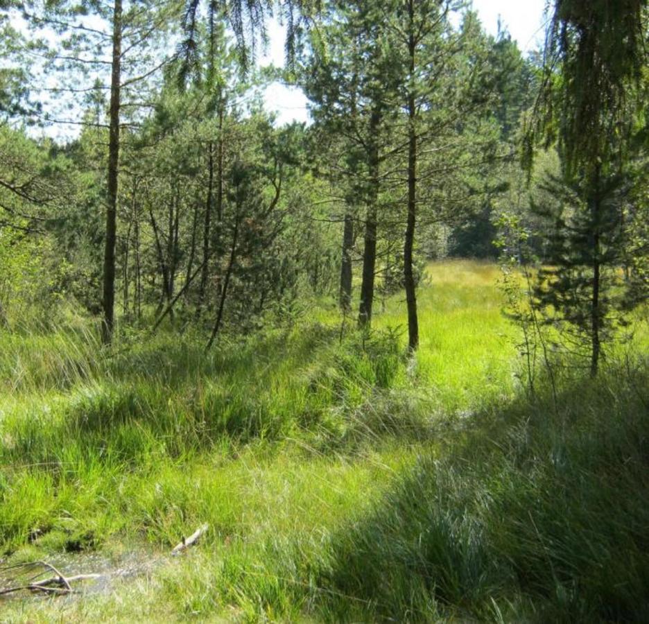 Haus Beate, Fewo Im Bienenparadies Kirchberg  Luaran gambar