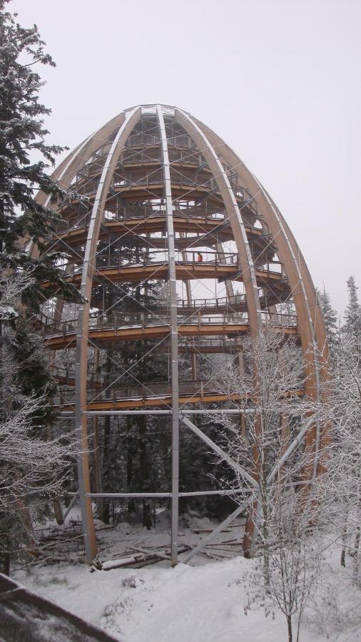 Haus Beate, Fewo Im Bienenparadies Kirchberg  Luaran gambar
